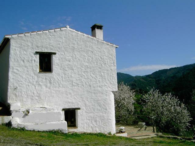 Molino El Pinillo Villa Jubrique Exteriör bild